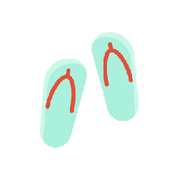 flip-flops
