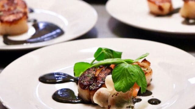 xr:d:DAFxAXppyCA:8,j:2564079869664273521,t:23101214